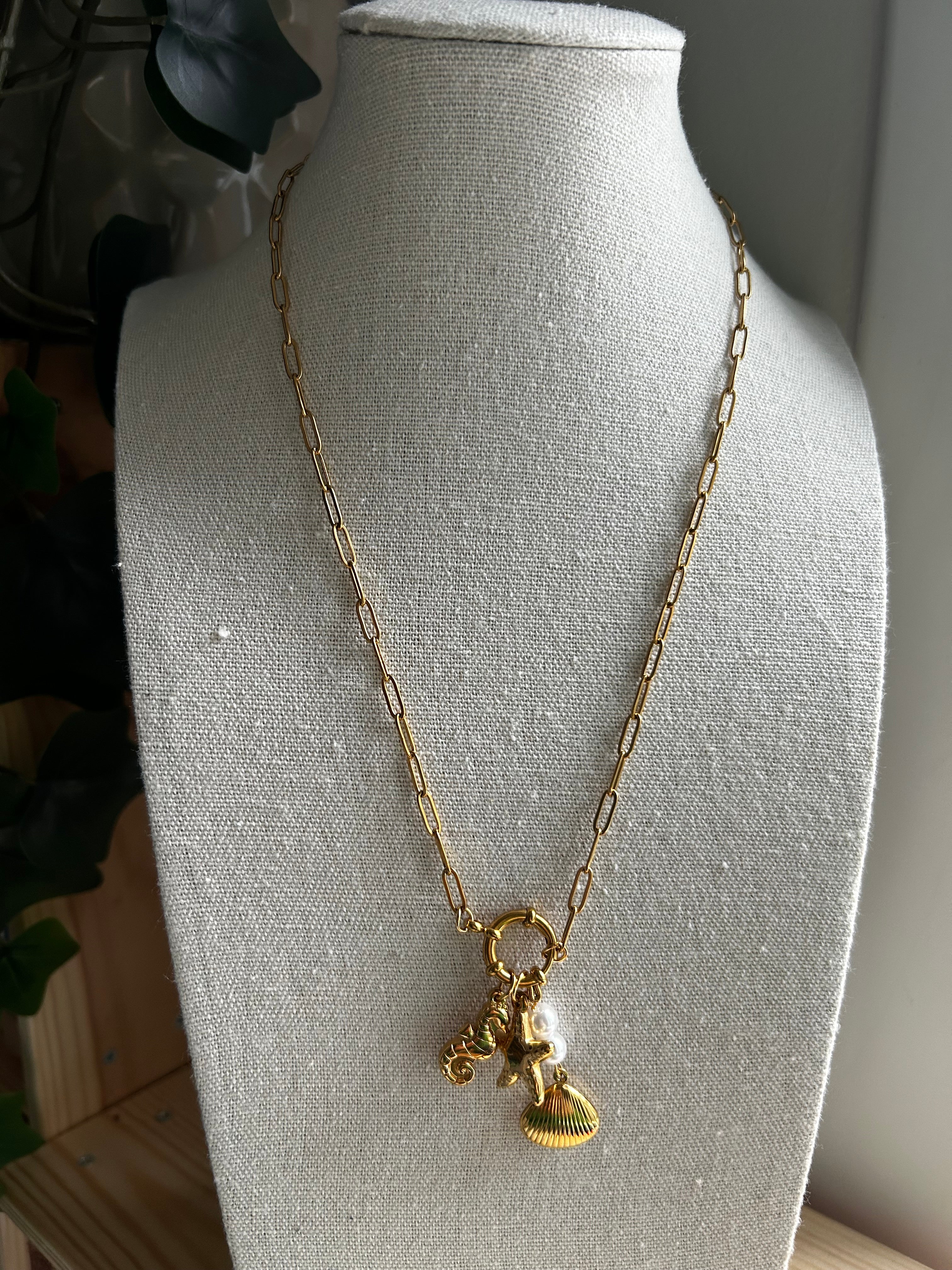 Collier acier inoxydable doré charms coquillage