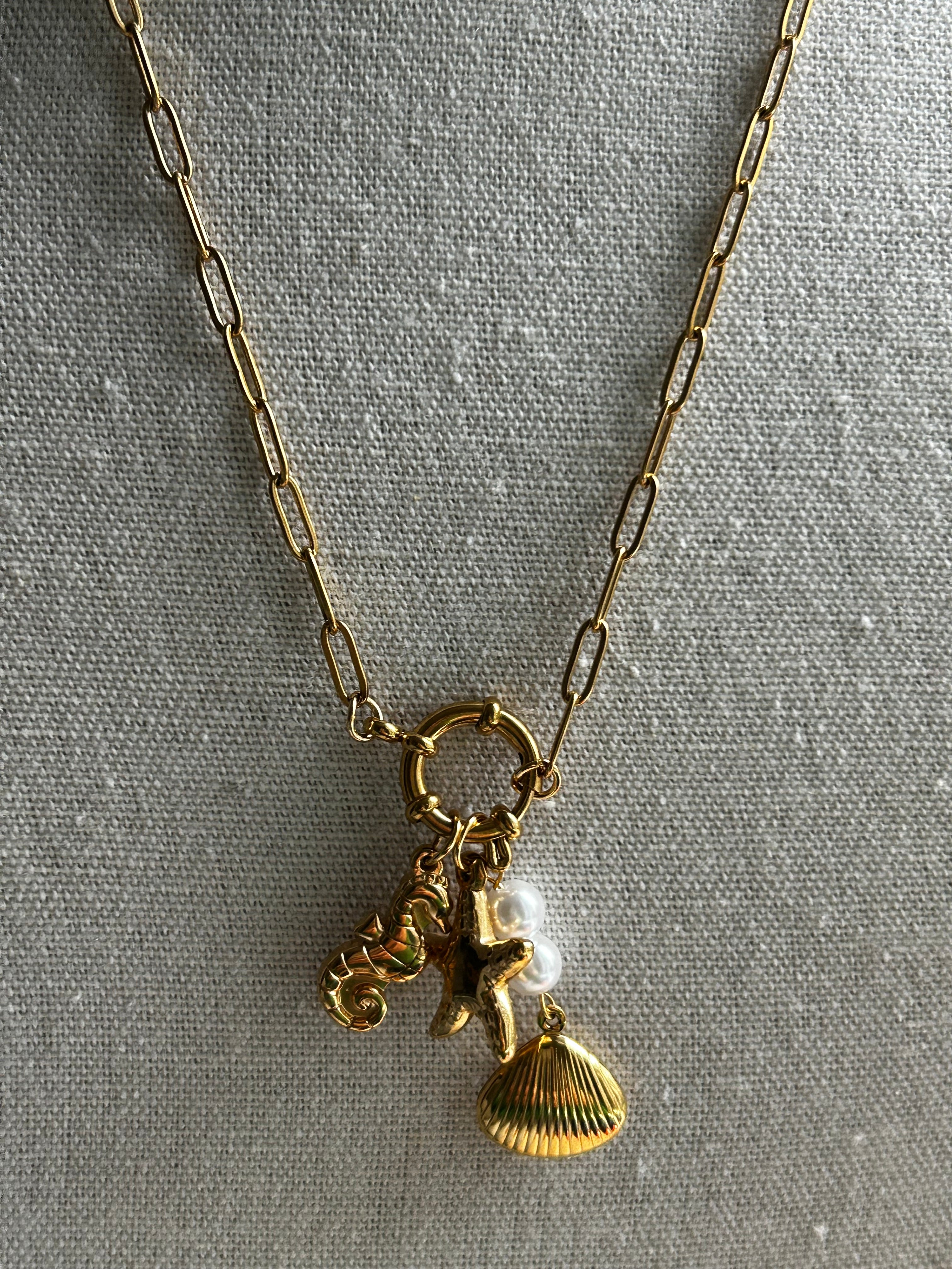Collier acier inoxydable doré charms coquillage